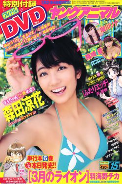 盛装 电视剧