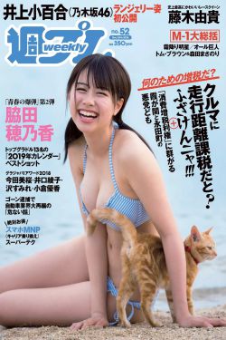 东北娘们国语版免费播放